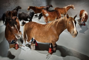 Javier Balmaseda, Fixed in contemporaneity, 2013, horses, hydraulic jacks, Iron, Wood, 400x400x180 cm