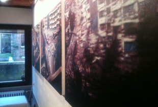Sophie Franza's paintings