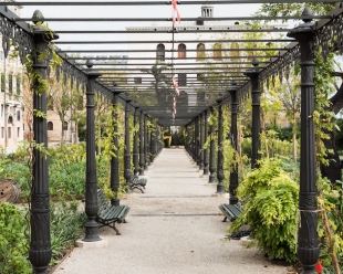 The newly restored wisteria pergola, ph. M. Lombezzi