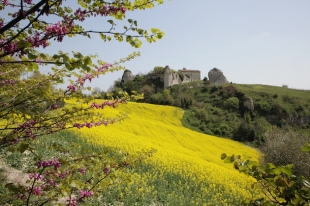 Fossombrone (Rocca), Marche