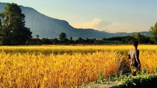 Francesco Procacci, Cereris Azienda Agricola, courtesy pr/undercover