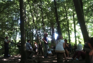 Janet Cardiff & Georges Bures Miller, Forest (for a thousand years...) 28 minutes installation in the park, phto courtesy pr/undercover