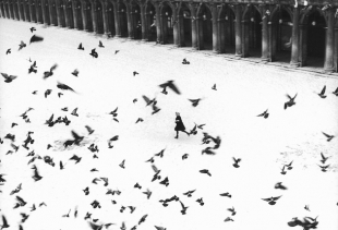 Gianni Berengo Gardin, Venezia 1960, Courtesy l'autore per gentile concessione per diritto di cronaca dalla Casa dei Tre Oci